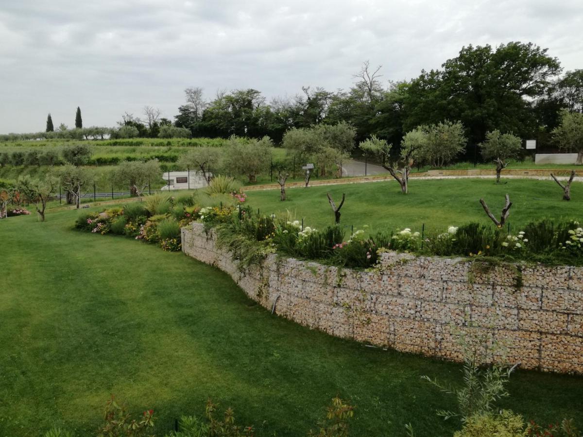 Agriturismo La Rondinella ラツィーゼ エクステリア 写真